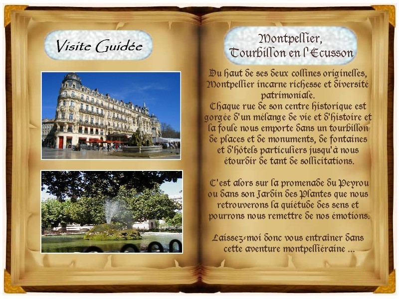 V.L. Guide Touristique - Visite Guidée Montpellier