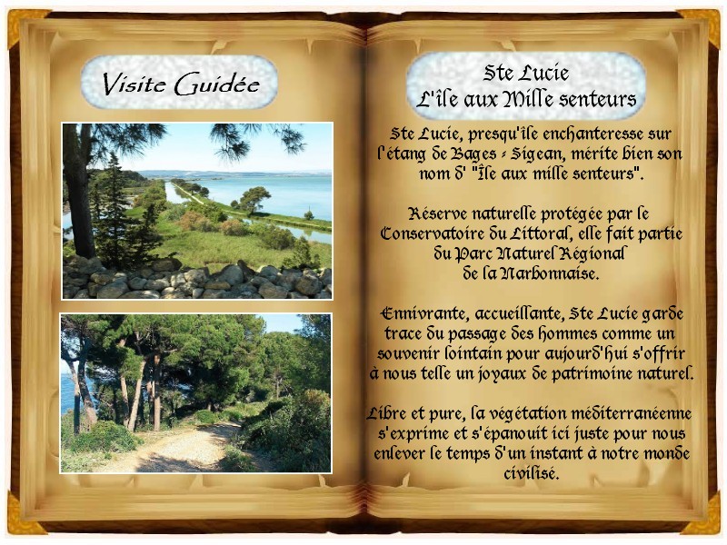 V.L. Guide Touristique - Visite guidée Ste Lucie